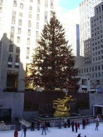 New York City album cover