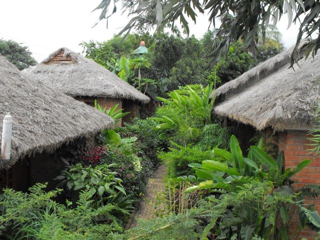 Africa 2009, photograph 12