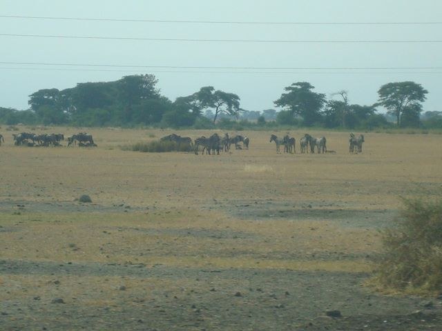 Africa 2009, photograph 17