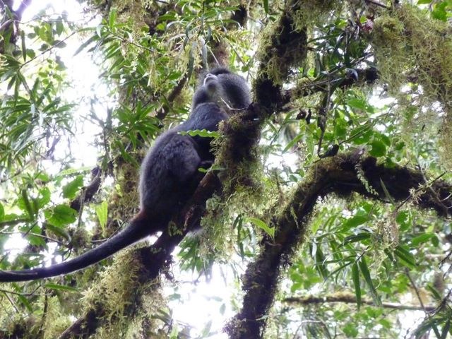 Africa 2009, photograph 30