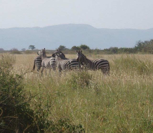 Africa 2009, photograph 43