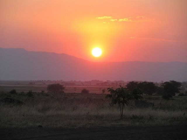 Africa 2009, photograph 47