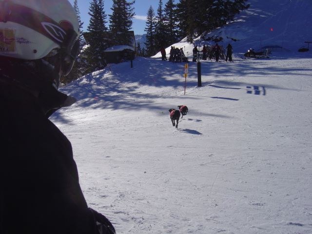 Aspen 2006, photograph 27