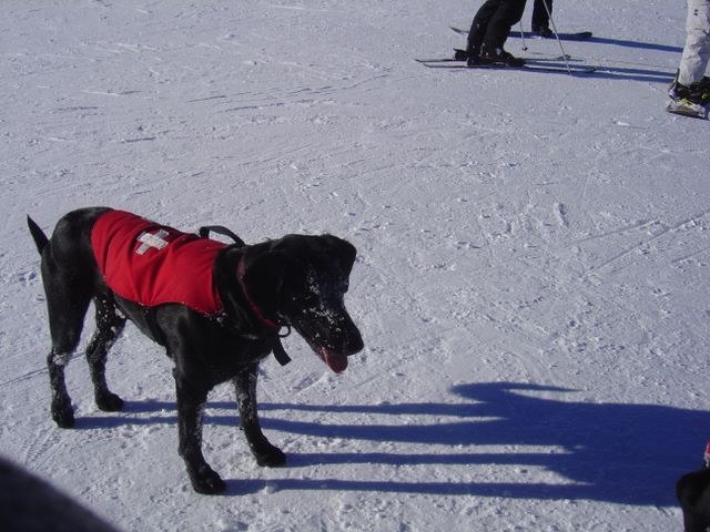 Aspen 2006, photograph 28