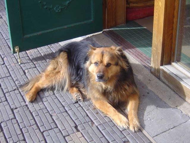Aspen 2006, photograph 46