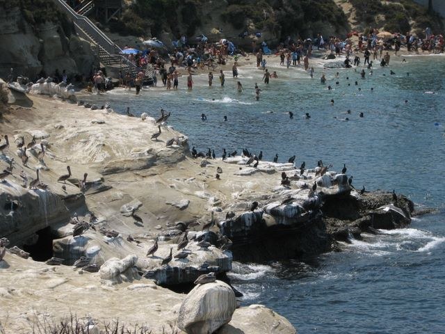 California 2007, photograph 8