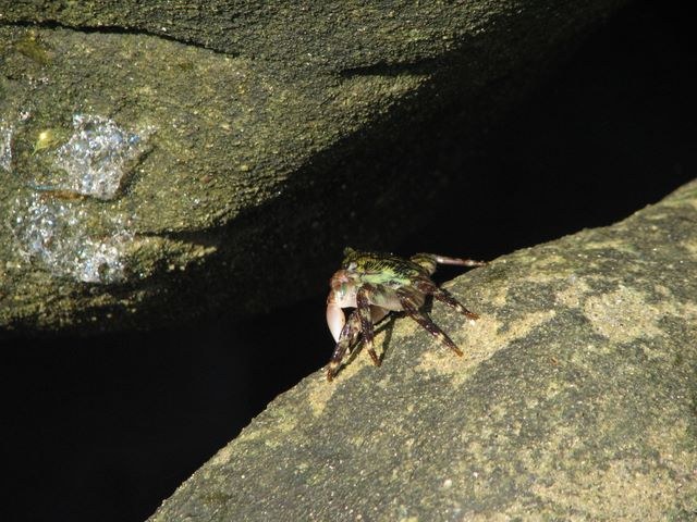 California 2007, photograph 9