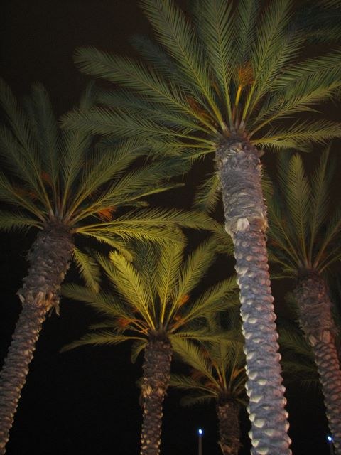 California 2007, photograph 19