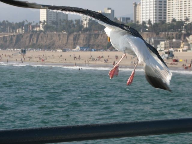 California 2007, photograph 23