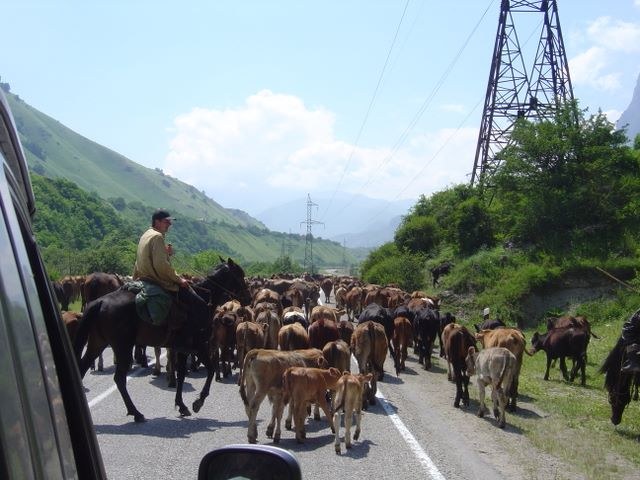 Mt Elbrus 2008, photograph 8