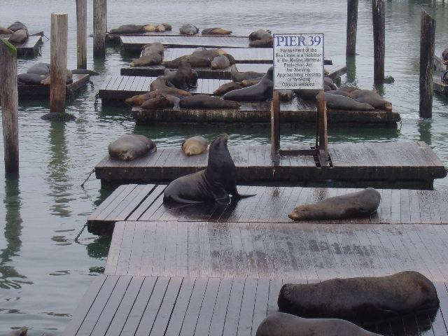 San Francisco 2003, photograph 11