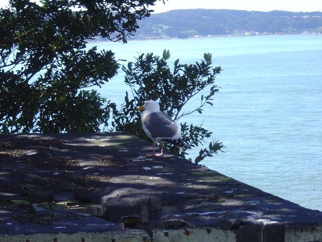 San Francisco 2005, photograph 6