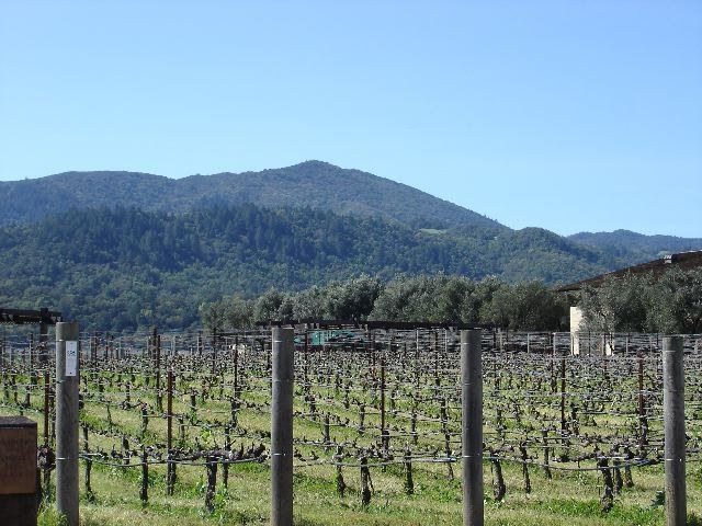 San Francisco 2005, photograph 13