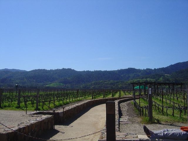 San Francisco 2005, photograph 24