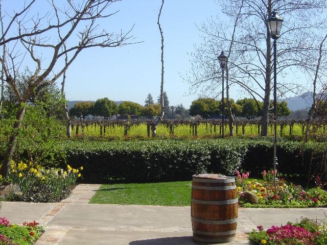 San Francisco 2005, photograph 26