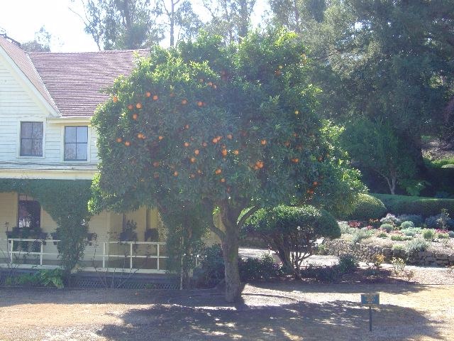 San Francisco 2005, photograph 27